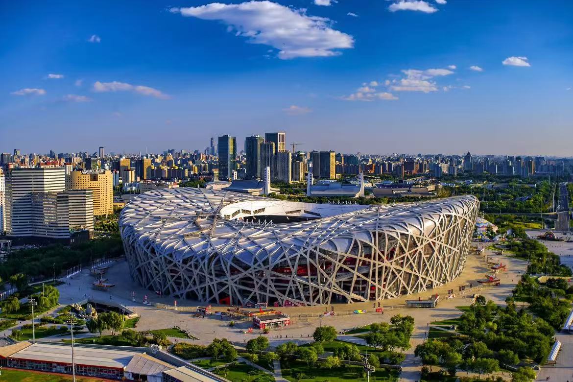 Bird's Nest